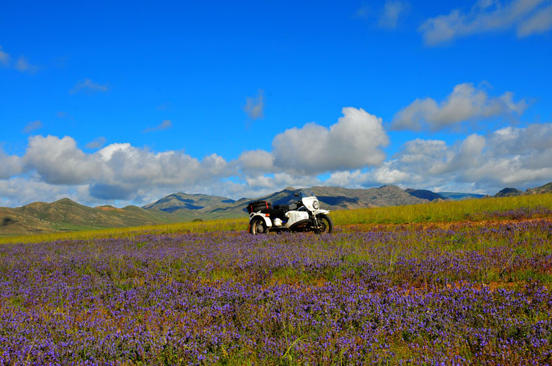Mongolia
